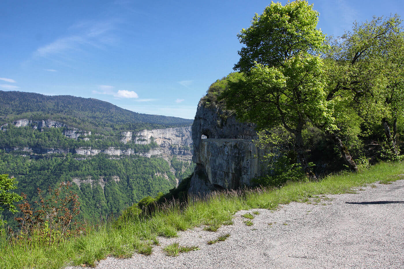 Bannière de la page nos services